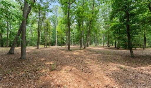 Photo #24 of 10.1ac Five Gables Woodlands, Gloucester, Virginia 10.2 acres
