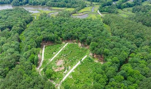 Photo #27 of 10.1ac Five Gables Woodlands, Gloucester, Virginia 10.2 acres