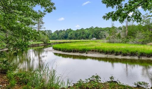 Photo #5 of 10.1ac Five Gables Woodlands, Gloucester, Virginia 10.2 acres