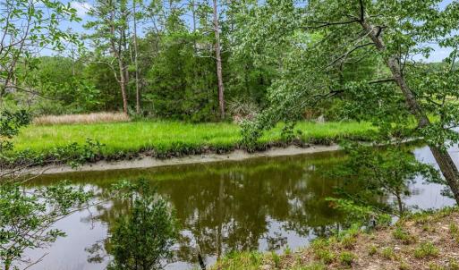 Photo #7 of 10.1ac Five Gables Woodlands, Gloucester, Virginia 10.2 acres