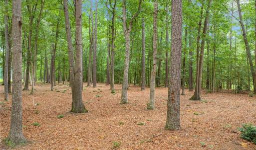 Photo #10 of 10.1ac Five Gables Woodlands, Gloucester, Virginia 10.2 acres