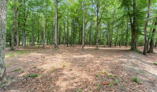 Photo #20 of 10.1ac Five Gables Woodlands, Gloucester, Virginia 10.2 acres