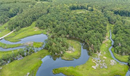 Photo #6 of 10.1ac Five Gables Woodlands, Gloucester, Virginia 10.2 acres