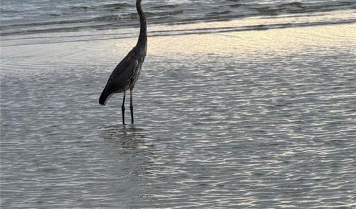 Photo #9 of 116 Creekside Land, Cape Charles, Virginia 0.7 acres