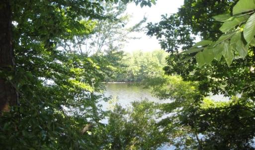 Photo #18 of 2281 Kings Fork Road, Suffolk, Virginia 10.6 acres