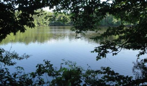 Photo #19 of 2281 Kings Fork Road, Suffolk, Virginia 10.6 acres