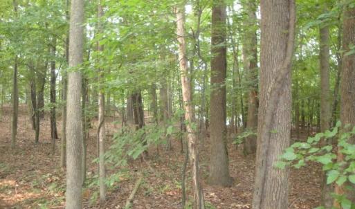 Photo #20 of 2281 Kings Fork Road, Suffolk, Virginia 10.6 acres
