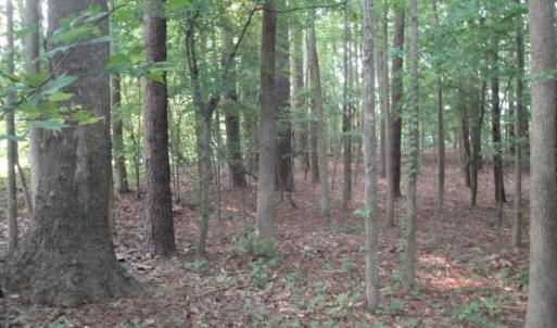 Photo #21 of 2281 Kings Fork Road, Suffolk, Virginia 10.6 acres