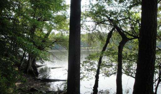 Photo #23 of 2281 Kings Fork Road, Suffolk, Virginia 10.6 acres