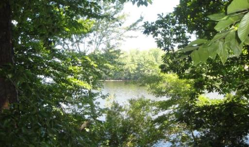 Photo #18 of 2281 Kings Fork Road, Suffolk, Virginia 10.6 acres