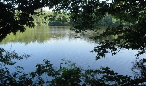 Photo #19 of 2281 Kings Fork Road, Suffolk, Virginia 10.6 acres