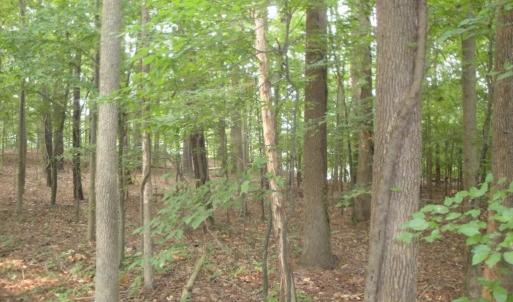 Photo #20 of 2281 Kings Fork Road, Suffolk, Virginia 10.6 acres