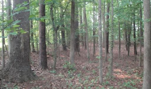 Photo #21 of 2281 Kings Fork Road, Suffolk, Virginia 10.6 acres