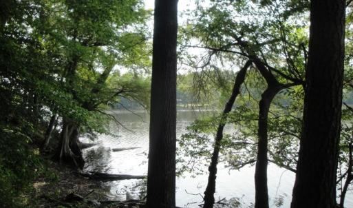 Photo #23 of 2281 Kings Fork Road, Suffolk, Virginia 10.6 acres