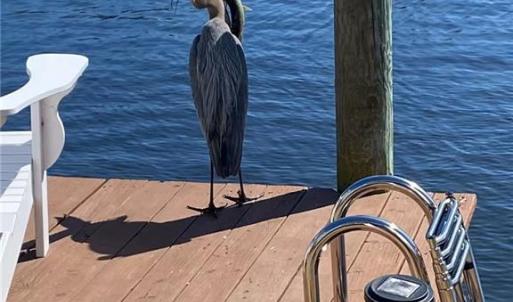 Photo #19 of 3665 Sandpiper Road, Virginia Beach, Virginia