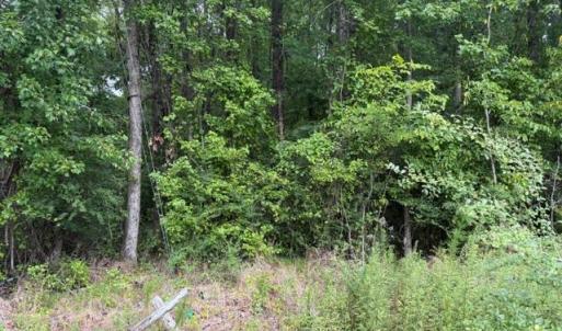 Photo #11 of LOTS Railroad Avenue, Wakefield, Virginia 1.9 acres