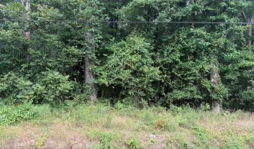 Photo #4 of LOTS Railroad Avenue, Wakefield, Virginia 1.9 acres