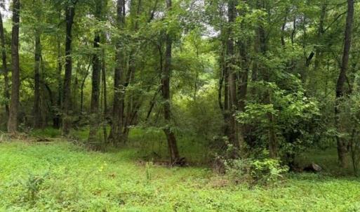 Photo #5 of LOTS Railroad Avenue, Wakefield, Virginia 1.9 acres