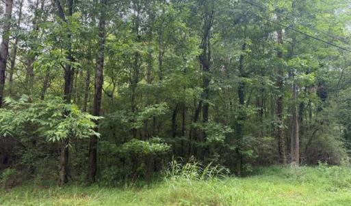 Photo #6 of LOTS Railroad Avenue, Wakefield, Virginia 1.9 acres