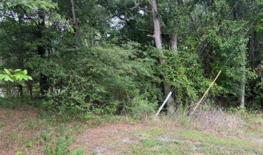 Photo #7 of LOTS Railroad Avenue, Wakefield, Virginia 1.9 acres