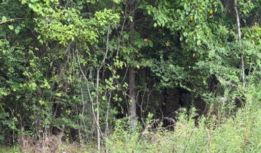 Photo #8 of LOTS Railroad Avenue, Wakefield, Virginia 1.9 acres