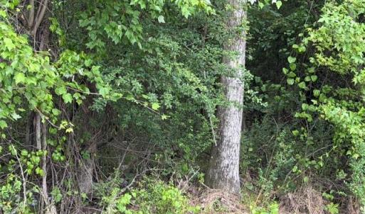 Photo #9 of LOTS Railroad Avenue, Wakefield, Virginia 1.9 acres