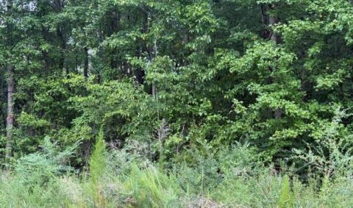 Photo #10 of LOTS Railroad Avenue, Wakefield, Virginia 1.9 acres