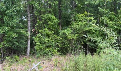 Photo #11 of LOTS Railroad Avenue, Wakefield, Virginia 1.9 acres