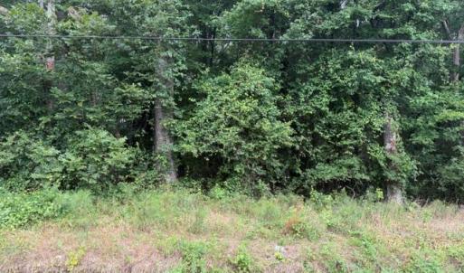 Photo #4 of LOTS Railroad Avenue, Wakefield, Virginia 1.9 acres