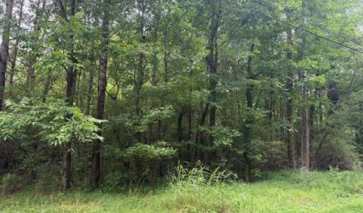 Photo #6 of LOTS Railroad Avenue, Wakefield, Virginia 1.9 acres