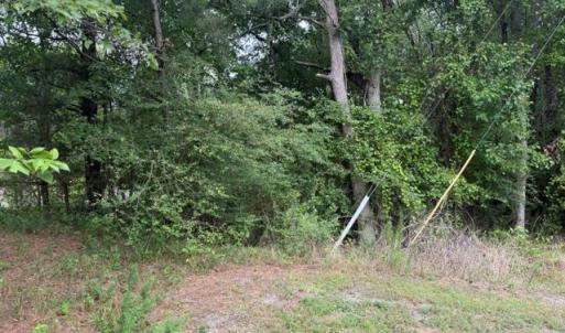 Photo #7 of LOTS Railroad Avenue, Wakefield, Virginia 1.9 acres
