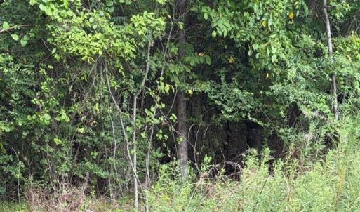 Photo #8 of LOTS Railroad Avenue, Wakefield, Virginia 1.9 acres