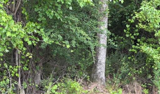 Photo #9 of LOTS Railroad Avenue, Wakefield, Virginia 1.9 acres