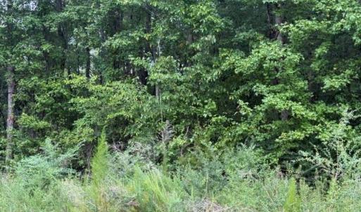 Photo #10 of LOTS Railroad Avenue, Wakefield, Virginia 1.9 acres