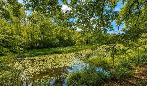 Photo #2 of LOT 6 Birdsong Road, Ebony, Virginia 2.0 acres