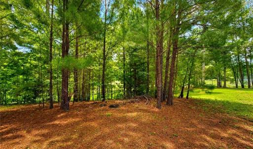 Photo #11 of LOT 6 Birdsong Road, Ebony, Virginia 2.0 acres