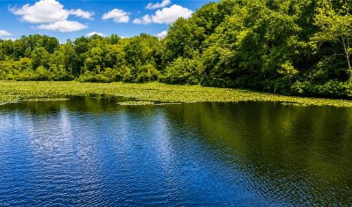 Photo #18 of LOT 6 Birdsong Road, Ebony, Virginia 2.0 acres