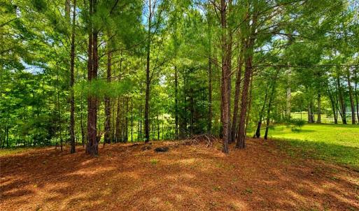 Photo #11 of LOT 6 Birdsong Road, Ebony, Virginia 2.0 acres