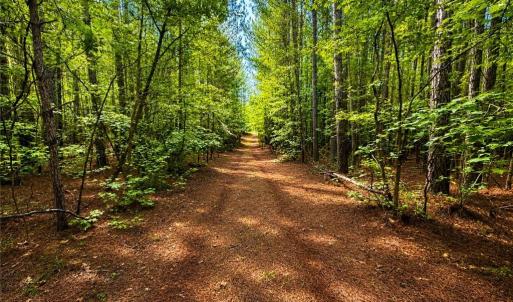 Photo #10 of LOT 6 Birdsong Road, Ebony, Virginia 2.0 acres