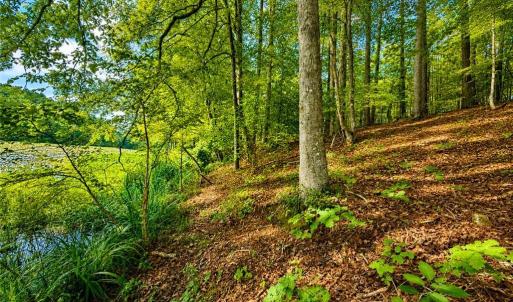 Photo #2 of LOT 5 Birdsong Road, Ebony, Virginia 2.0 acres