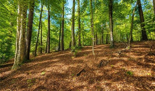 Photo #7 of LOT 5 Birdsong Road, Ebony, Virginia 2.0 acres