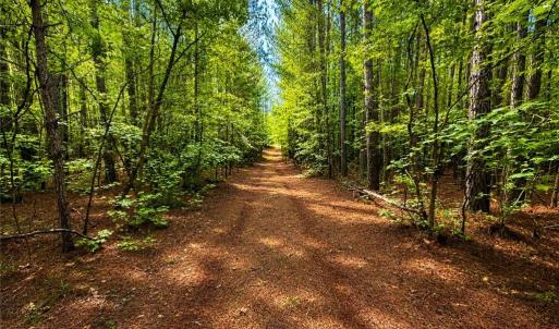Photo #8 of LOT 5 Birdsong Road, Ebony, Virginia 2.0 acres