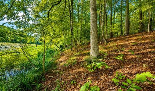 Photo #2 of LOT 5 Birdsong Road, Ebony, Virginia 2.0 acres