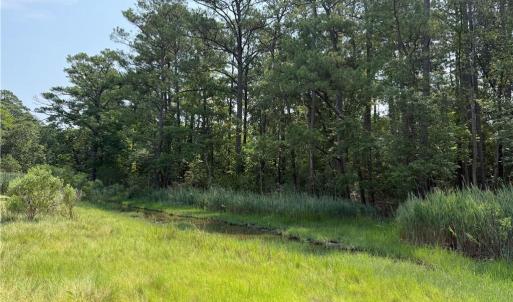 Photo #1 of 119 Stillwater Lane, Yorktown, Virginia 2.7 acres