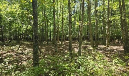 Photo #2 of 13630 Woodside Lane, Newport News, Virginia 5.1 acres