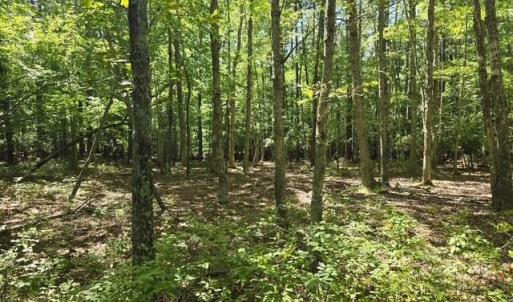 Photo #1 of 13630 Woodside Lane, Newport News, Virginia 5.1 acres