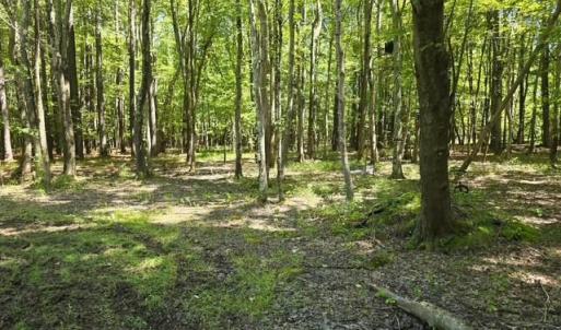 Photo #11 of 13630 Woodside Lane, Newport News, Virginia 5.1 acres