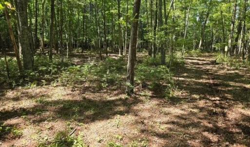 Photo #18 of 13630 Woodside Lane, Newport News, Virginia 5.1 acres