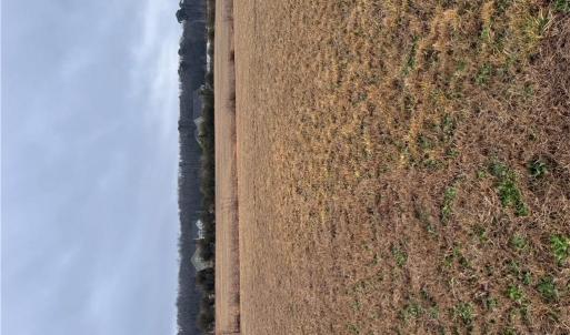 Photo #3 of 2084 Camden Court, Virginia Beach, Virginia 3.0 acres
