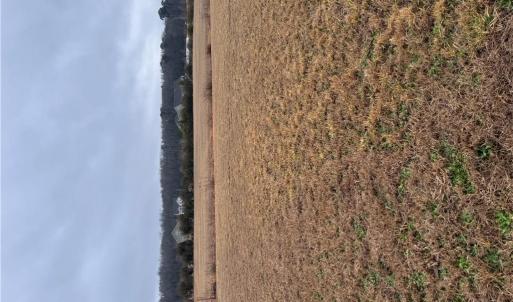 Photo #3 of 2084 Camden Court, Virginia Beach, Virginia 3.0 acres